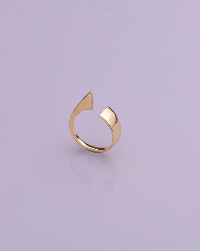 Flipper Gold Plated Ring