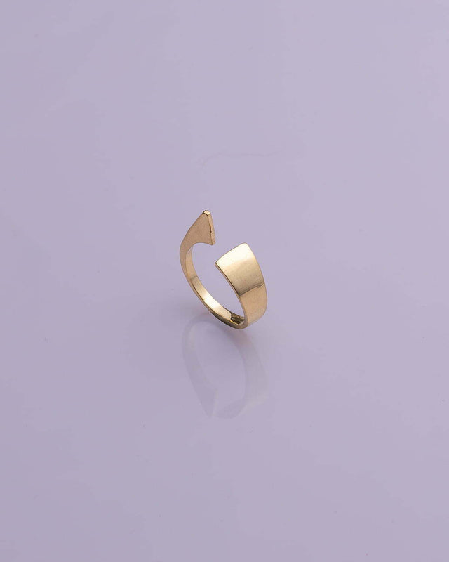 Flipper 14K Gold Ring