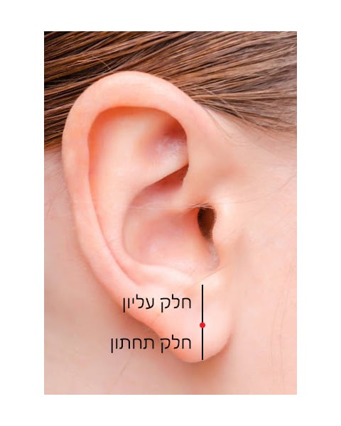 Replica 14K Gold Diamond Earring