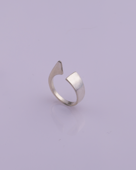 Flipper Silver Ring