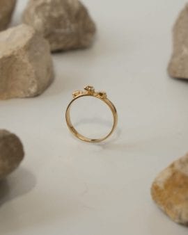 Argon Gold Ring